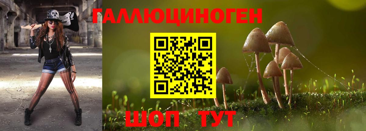 Псилоцибиновые грибы Psilocybine cubensis  Вход с VPN  наркотики  Ржев 
